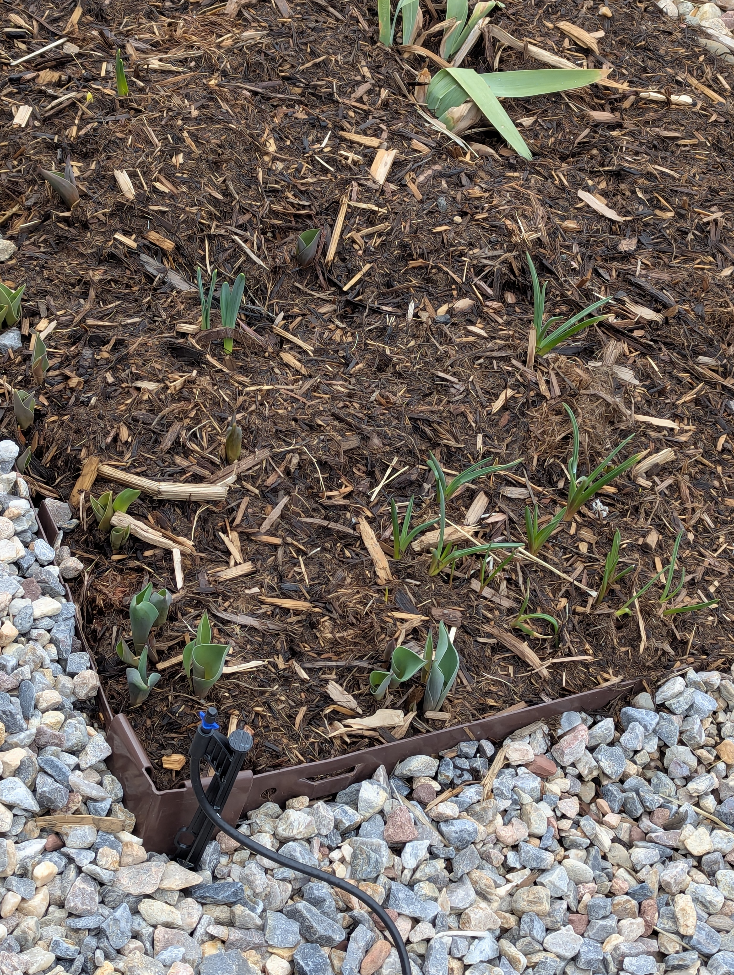 Garden, Morrison, Colorado